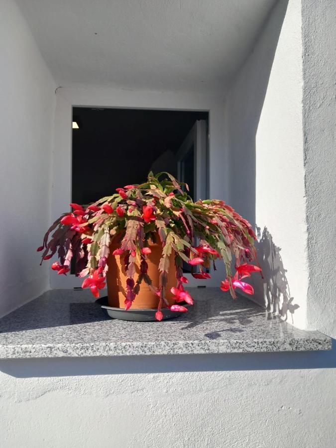 Apartamento De La Haya, Junto Al Teatro Romano Apartment Merida Bagian luar foto